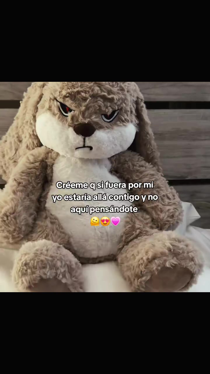 @E.....frases💫🤩