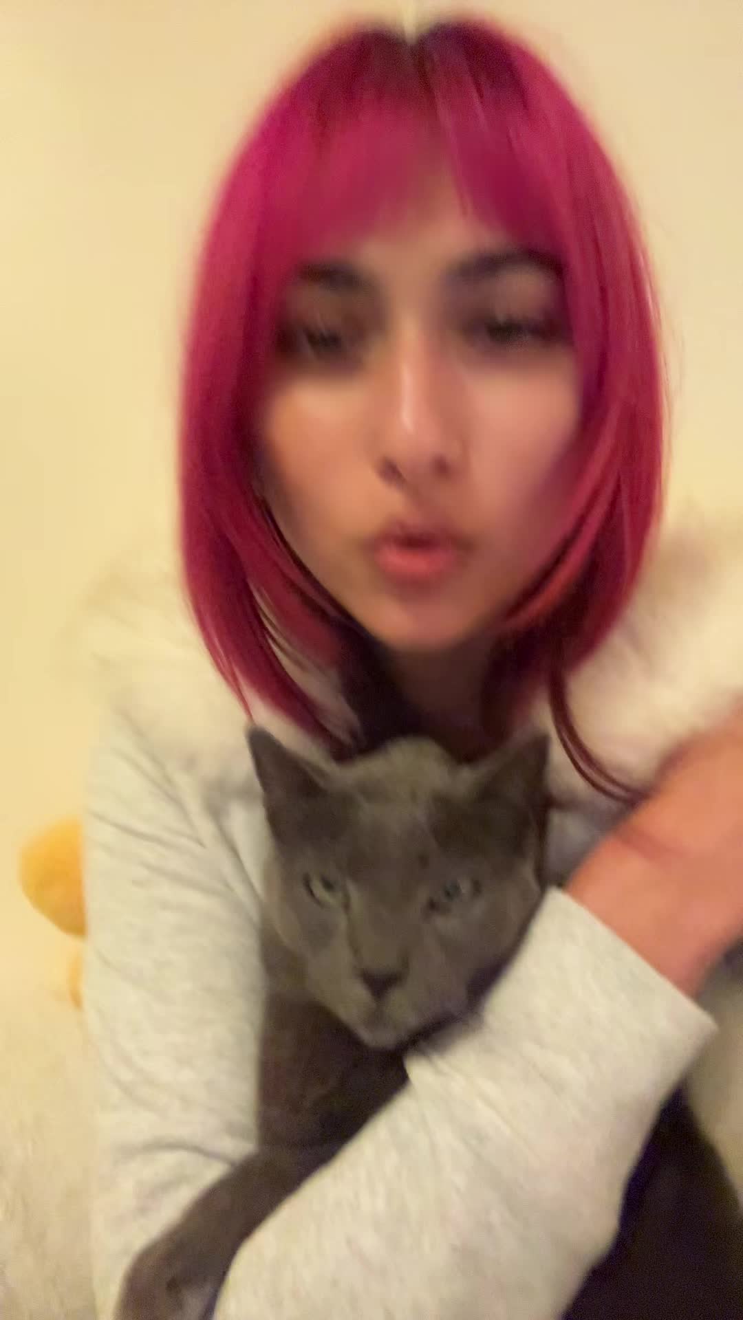 @bengaltigress