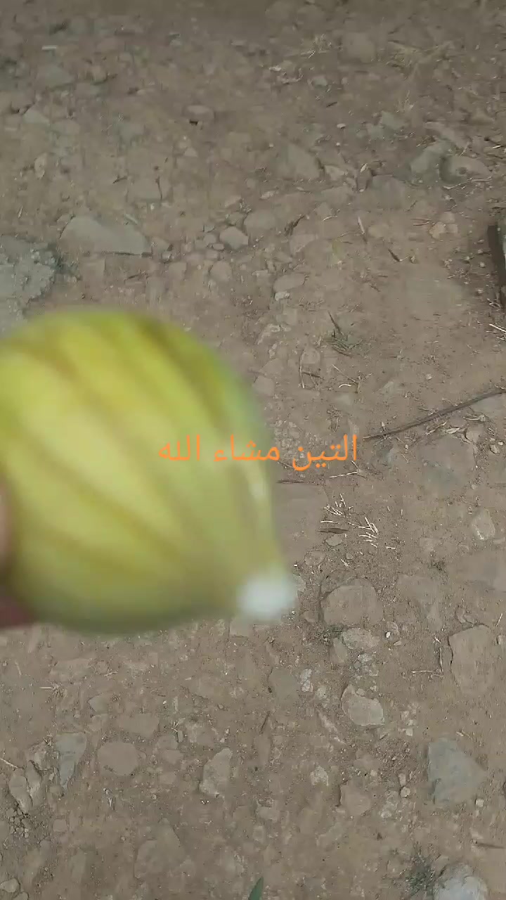 @قناة التوحيد