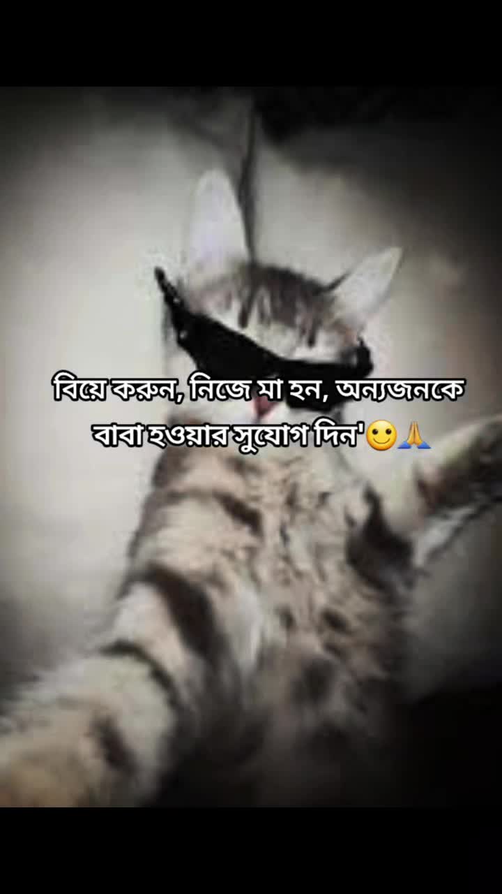 @Mᴀʀᴜғ Bɪʟʟᴀʜ 🌱