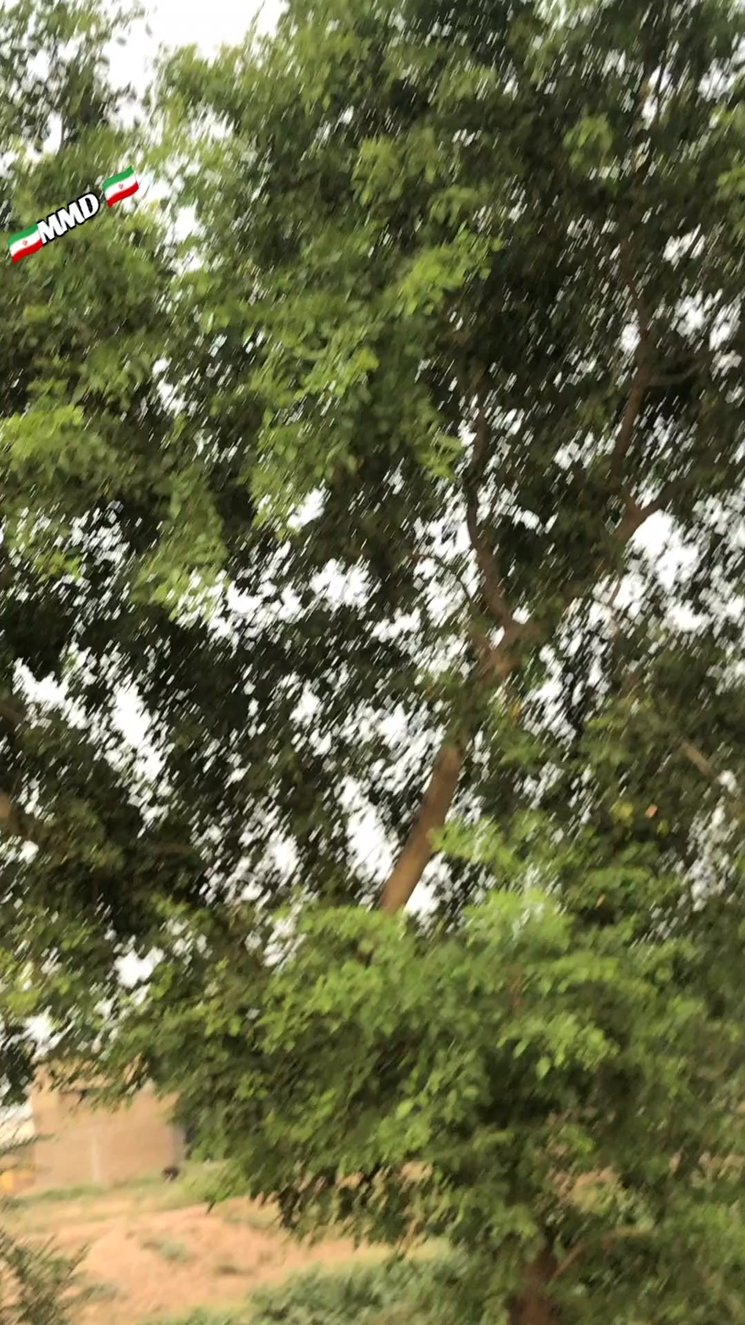 @ãâ
ãð²ðšðŽð¹ðšðµ ð²ð¯ðšðµãâ
ã