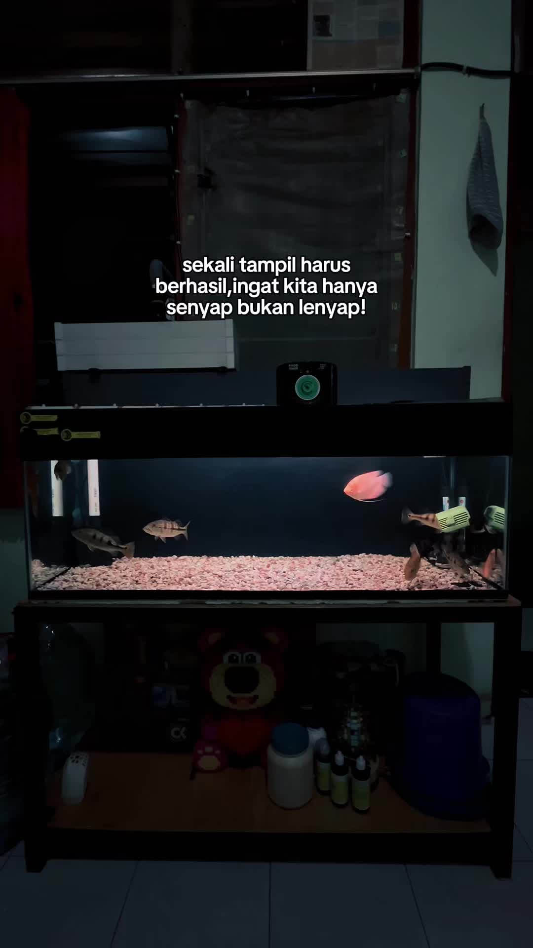 @𝐧𝐨𝐫𝐛𝐞𝐫𝐭𝐮𝐬.𝐛𝐚𝐲𝐮