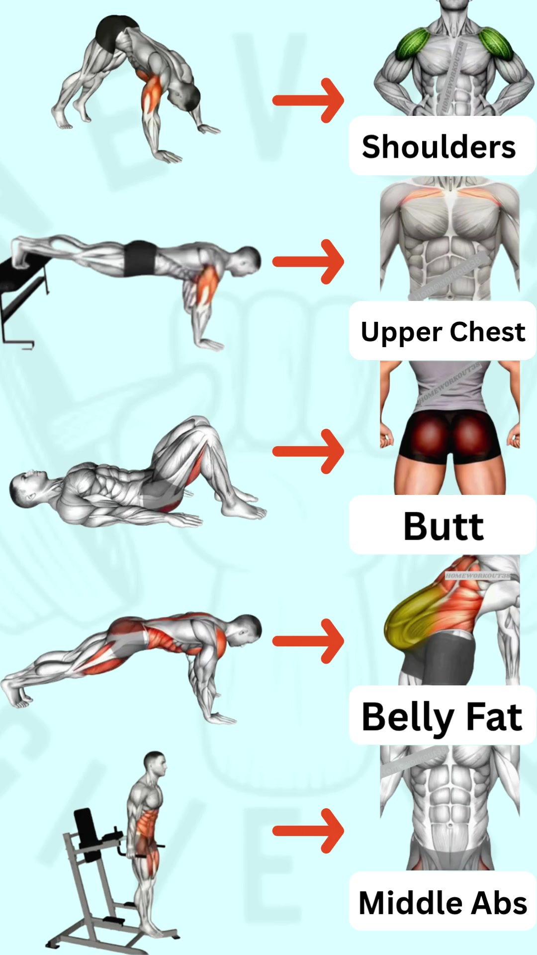 @HOMEWORKOUT