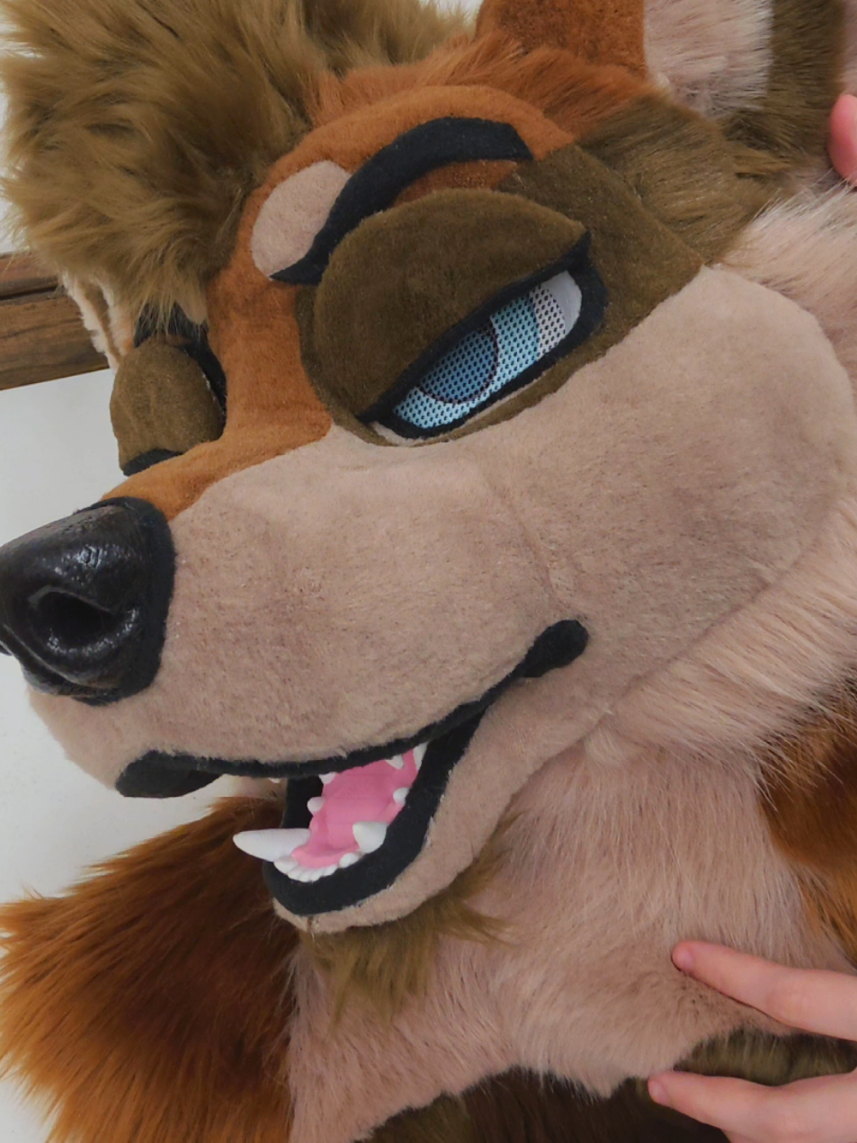 @Furbellion