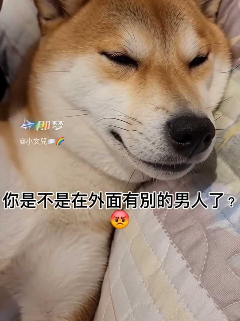 @小肉龜✨️TylerWen🌈