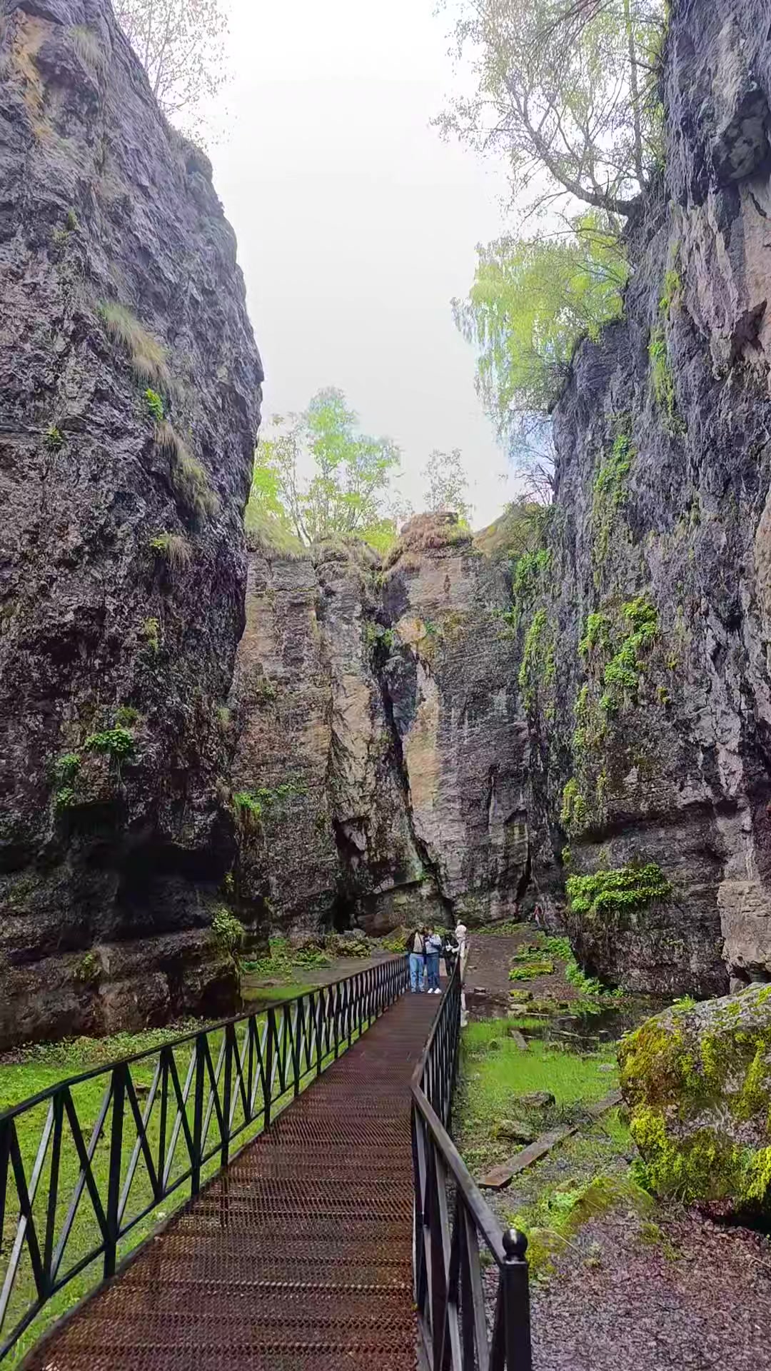 @Алексей