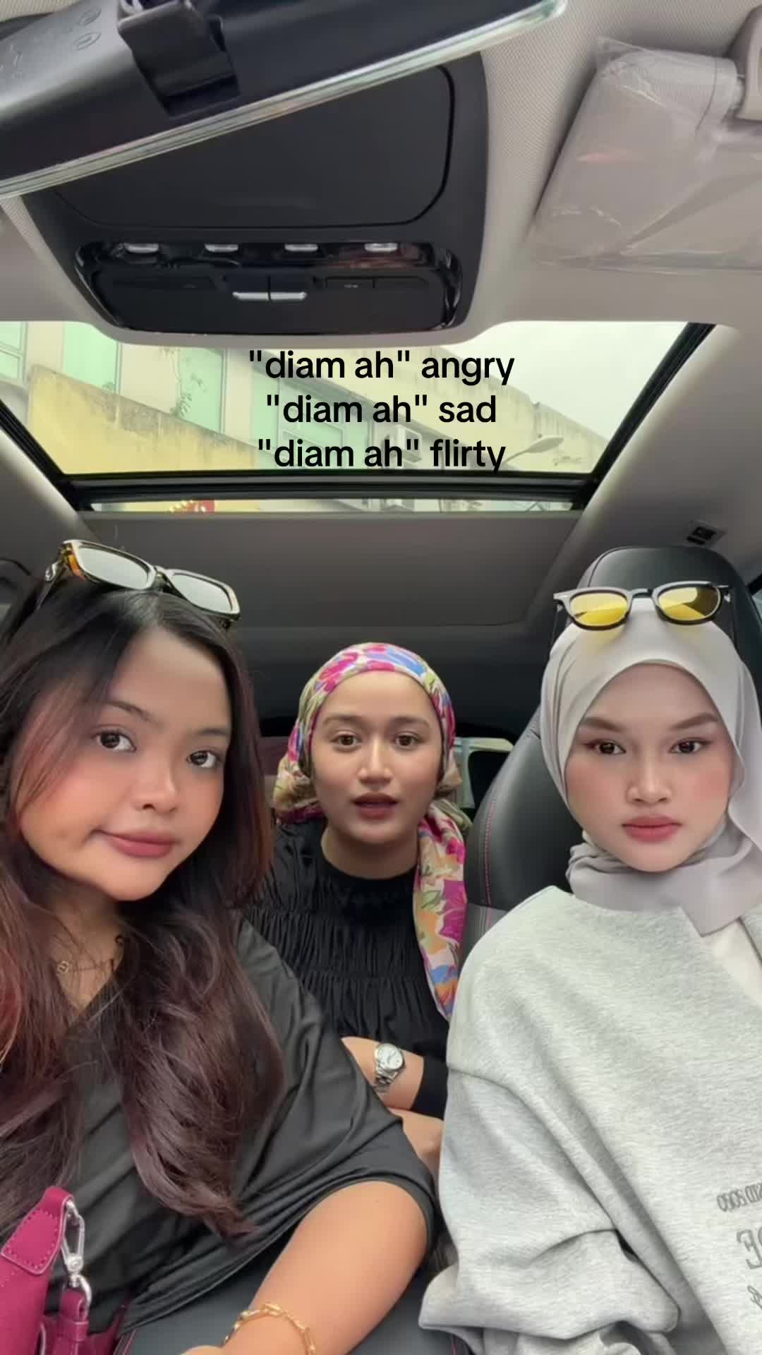 @Ariesaurus🦖