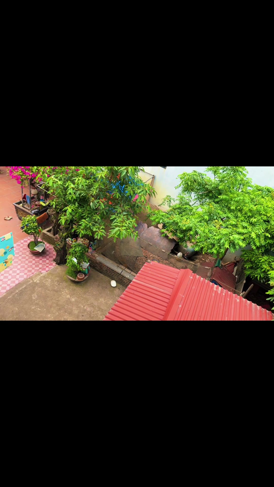 @C&uacute;c hoạ mi🍀