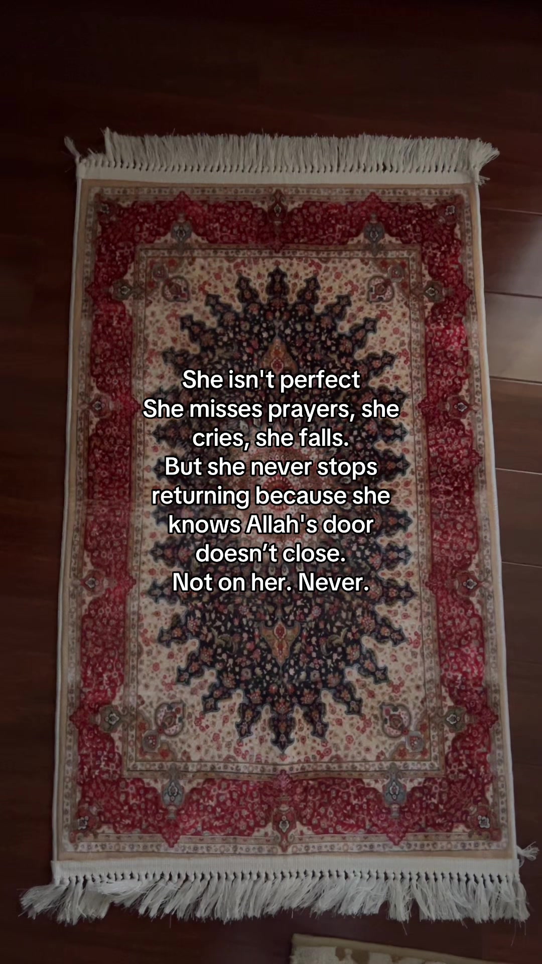 @dailyquotes