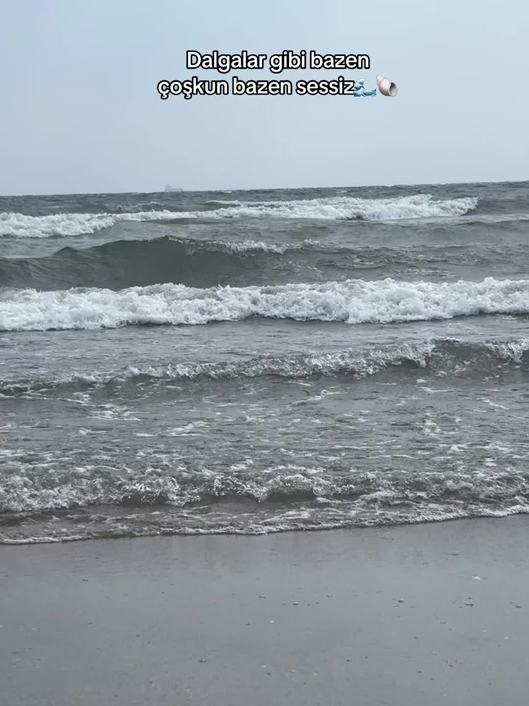 @Levza_Dirlik