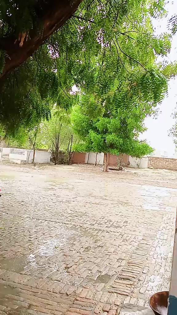 @رائے نعیم یاسین کھرل
