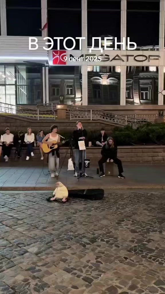 @окей гугл
