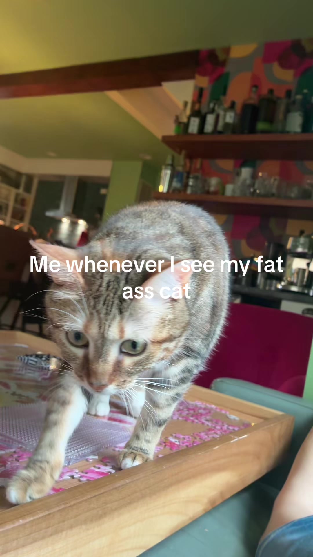 @jaxlikesjello