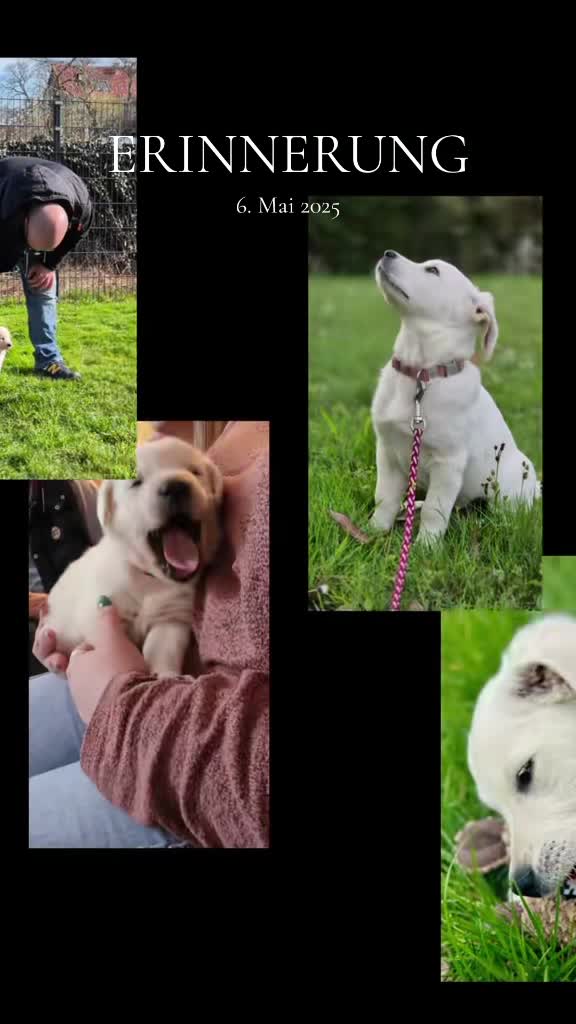 @Nicole🙋🏼♀️ mit 🐕Cora🐾🩷