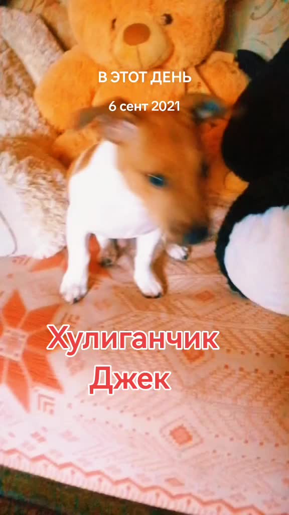 @людмила позитивчик