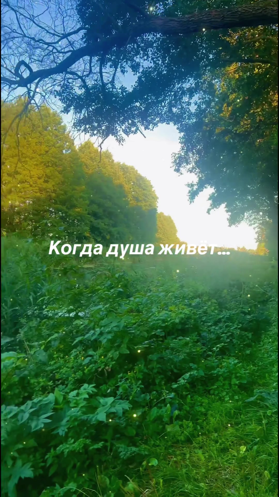@Саня🇺🇦🌴🌻