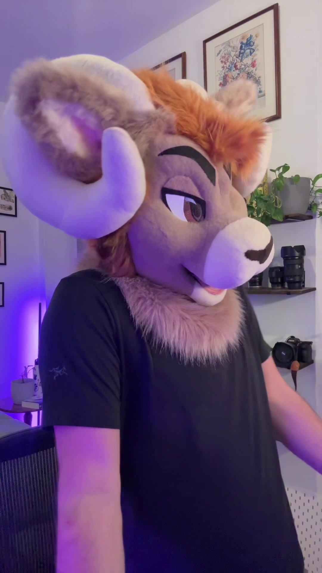 @SamTheRam