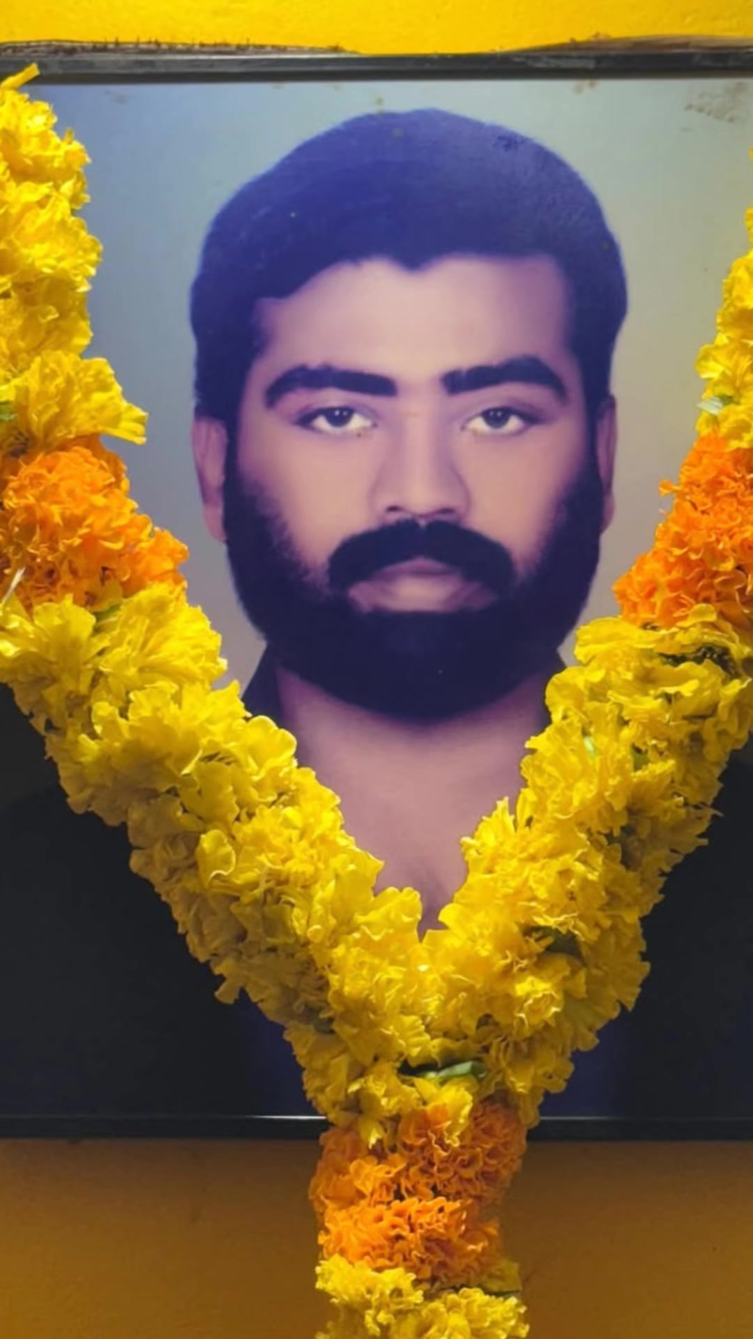 @Bindu Shiras