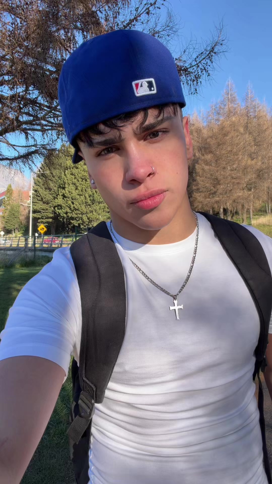 @aleeslr