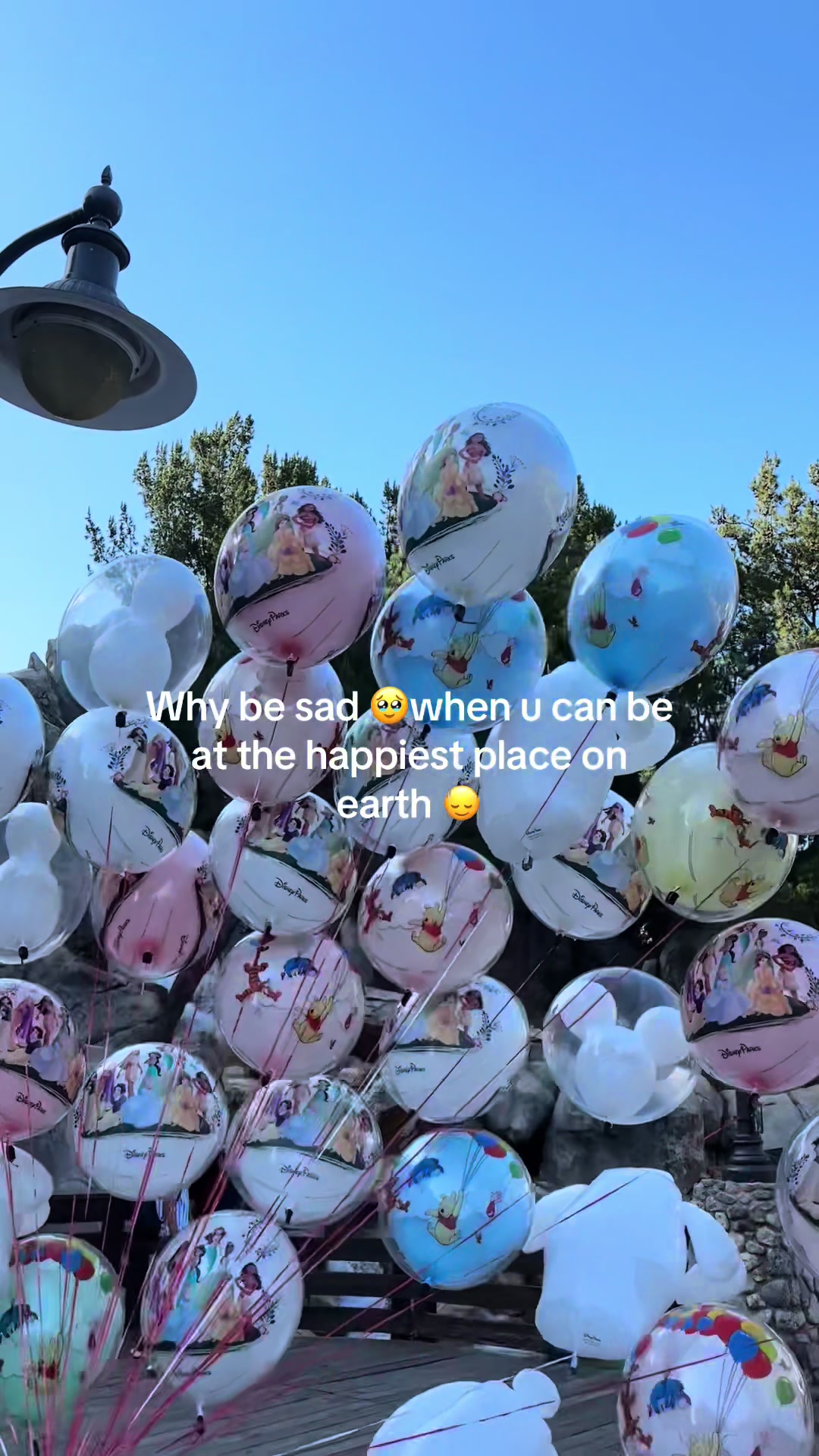 @𝓐𝓛𝓞𝓝𝓓𝓡𝓐🇲🇽