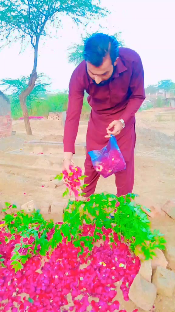 @🥰 MeRa SaKooN 🥰 M 🥰