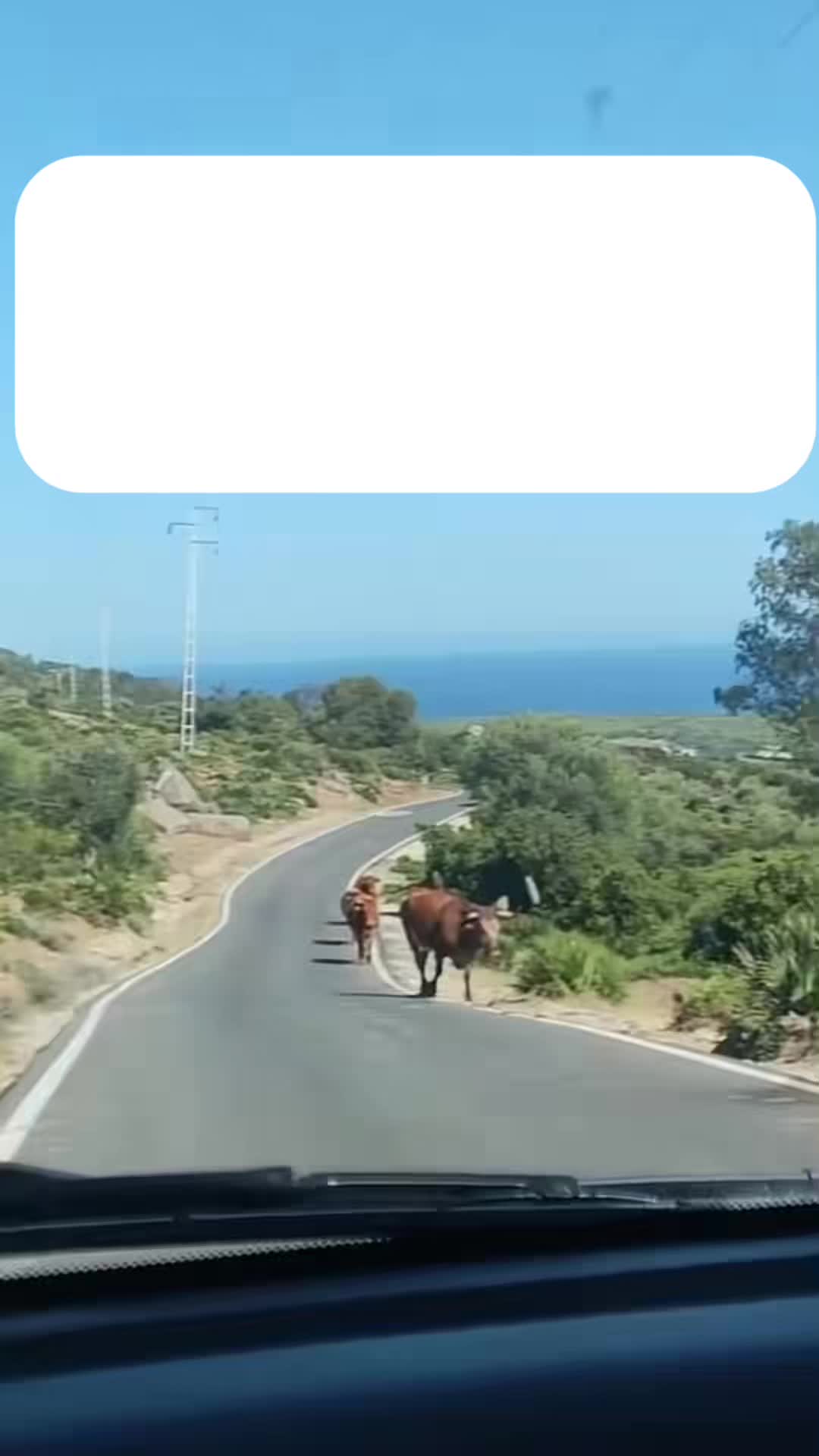 @VEILCLIPZ