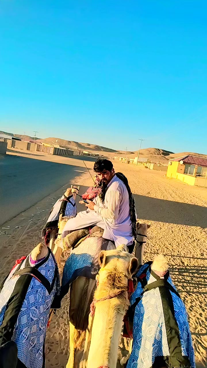 @sajjadalighamber