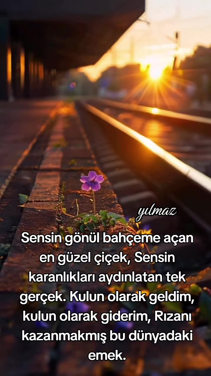 @yılmaz Çetinkaya