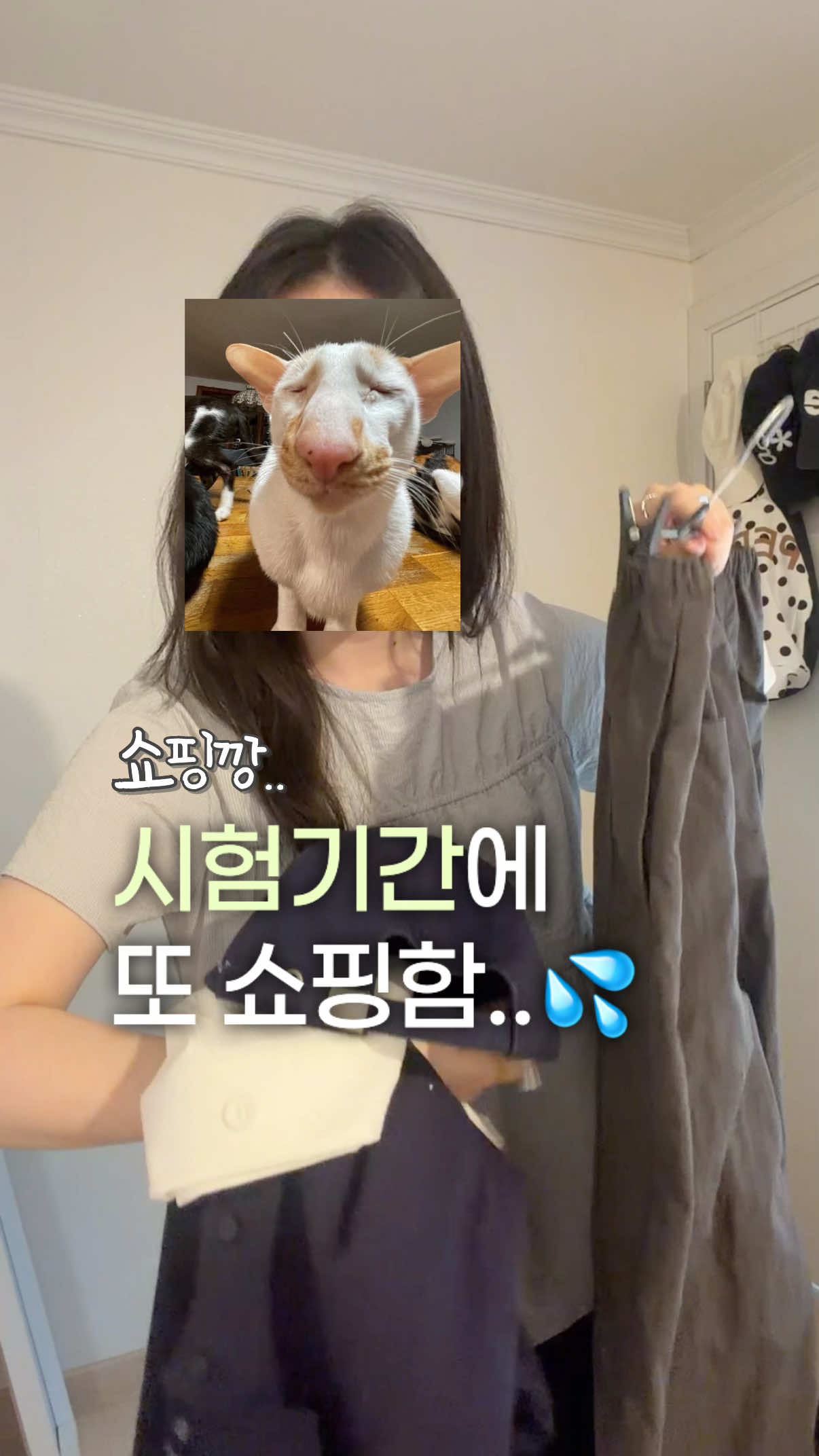 @쏘스