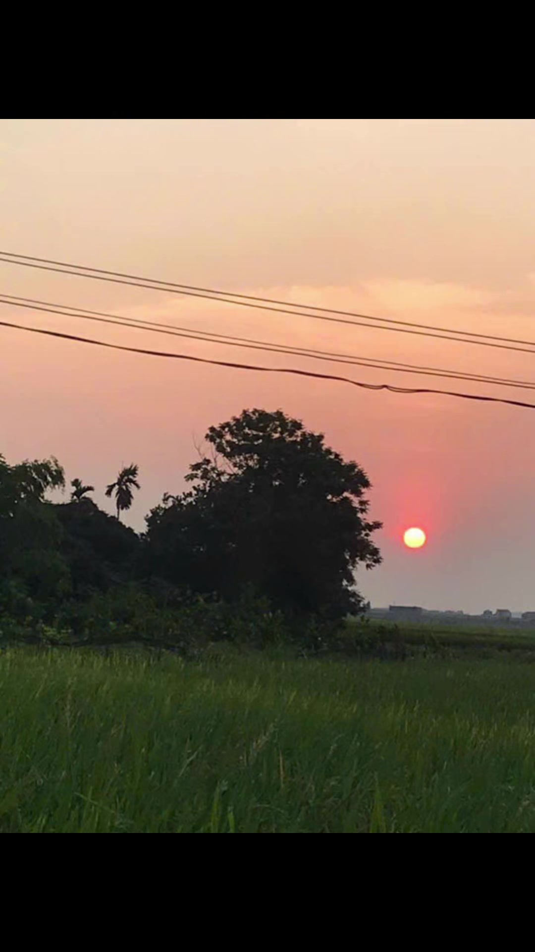 @nu_hoang_nuoc_mat_98bg