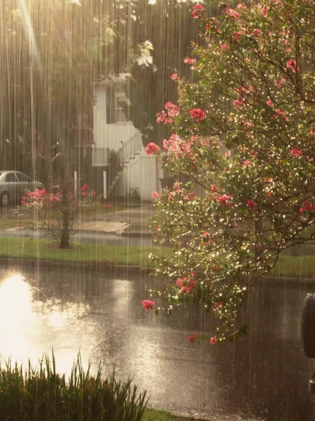 @forevernoahfan
