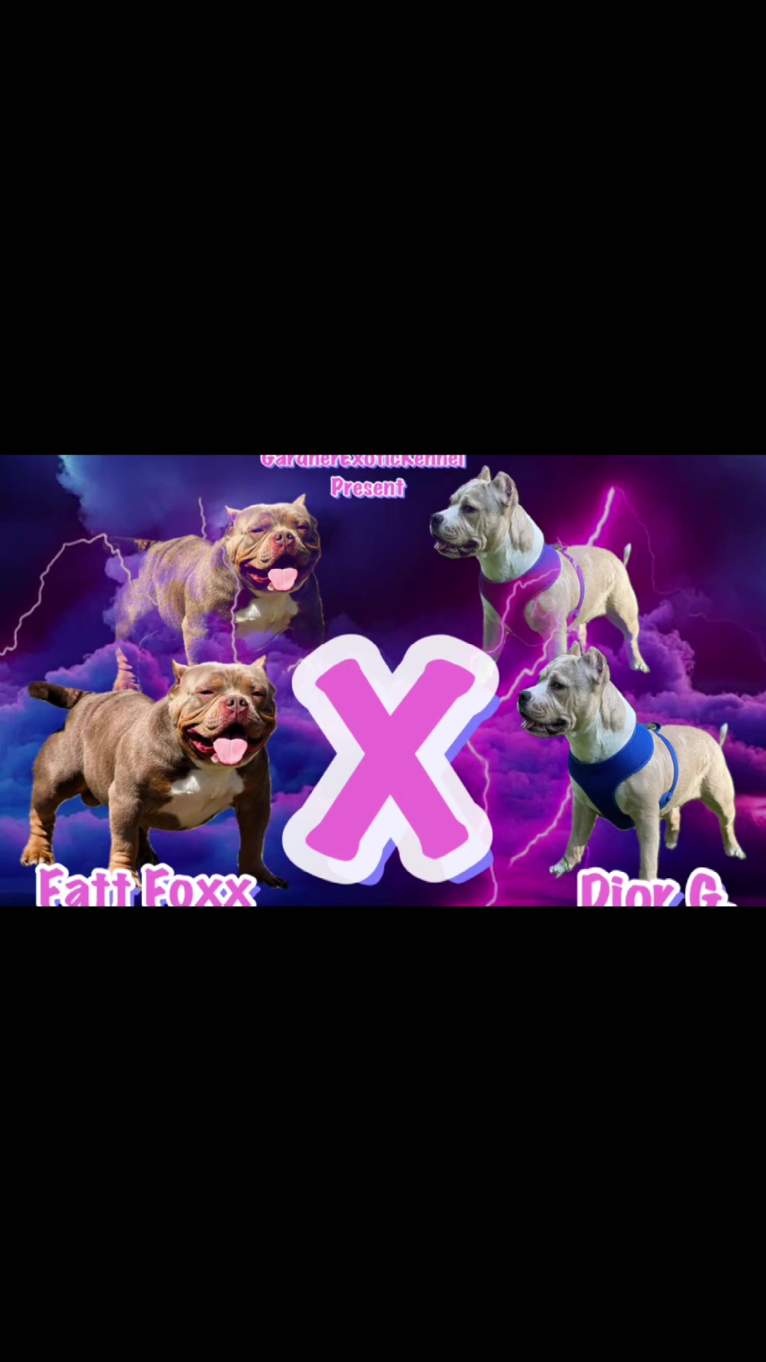 @gardnerkennel08