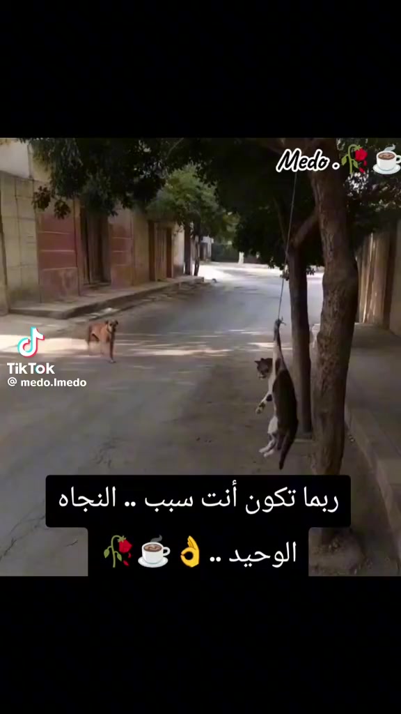 @user6611028591676