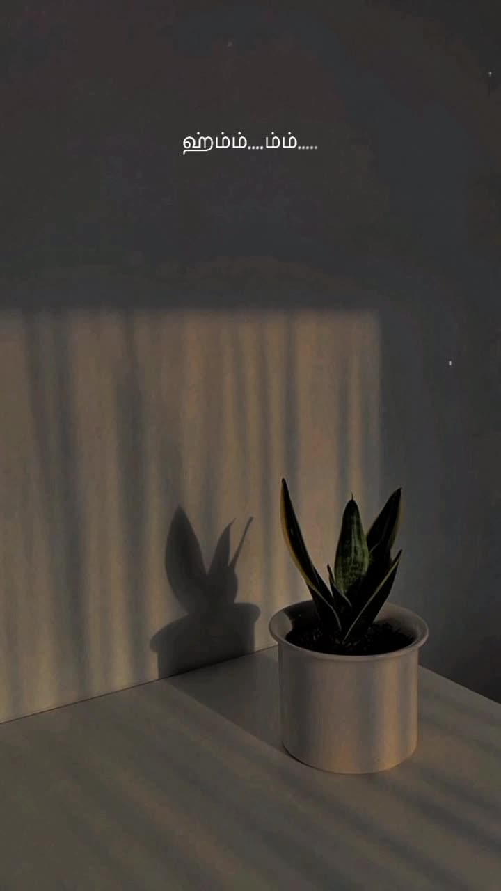 @&spades;︎ʙʟᴀᴄᴋ ʟᴏᴠᴇʀ&spades;︎