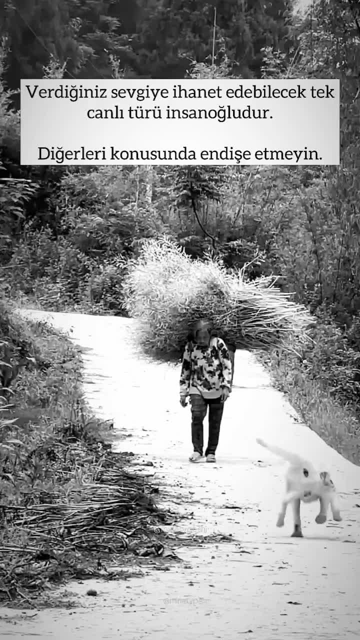 @Yorgun_01