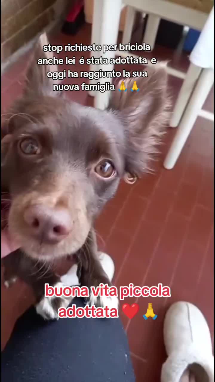 @KIRA❤️LEYLA💙