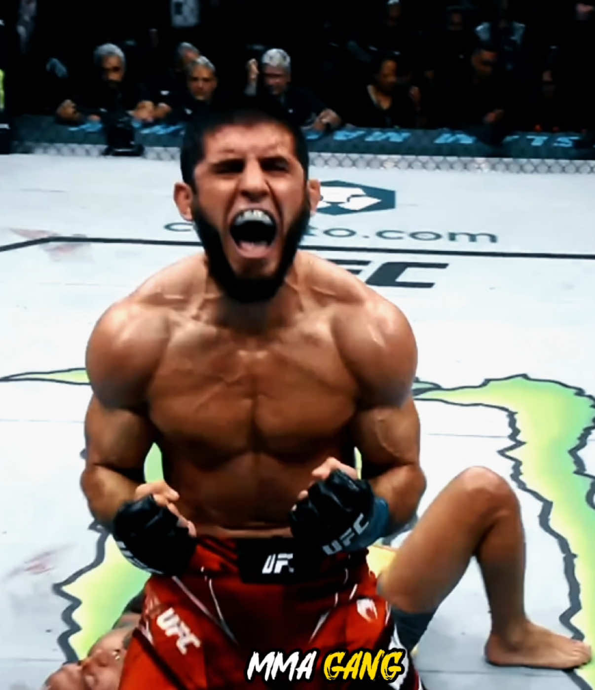 @MMA GANG