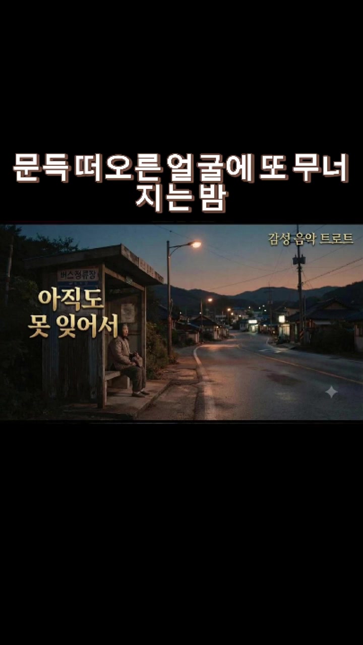 @감성 음악 트로트
