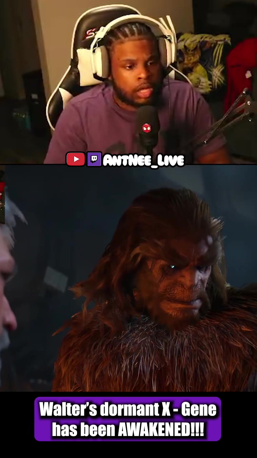 @AntNee Live