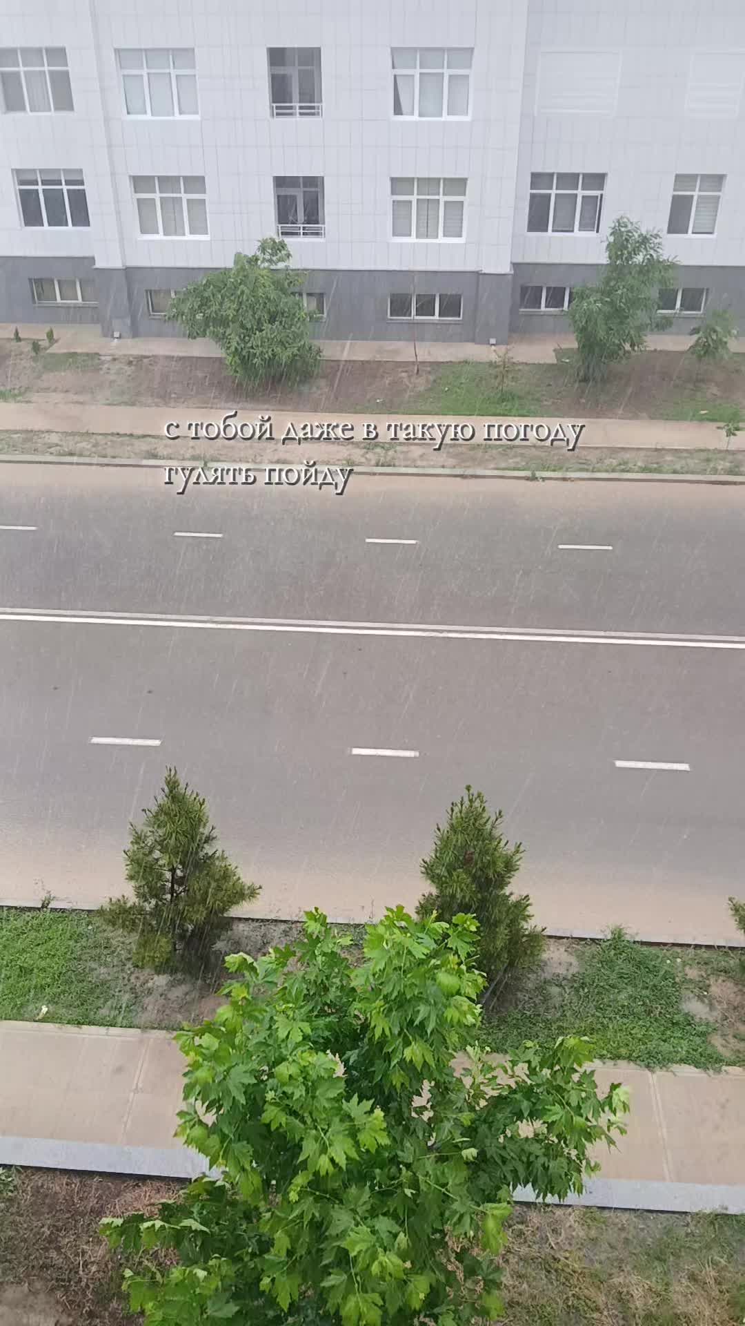 @𝒵𝓁𝒶𝓉𝒾𝒸𝒽𝓀𝒶🪽