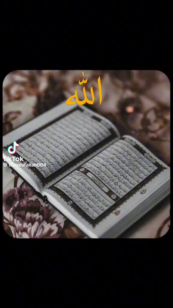 @Kashifkhan12