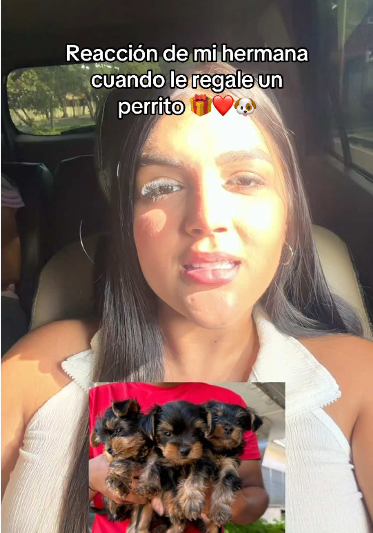 @Alejandra Cardenas