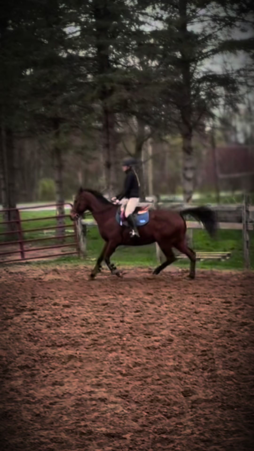 @🐎Aby 😌👌✨️