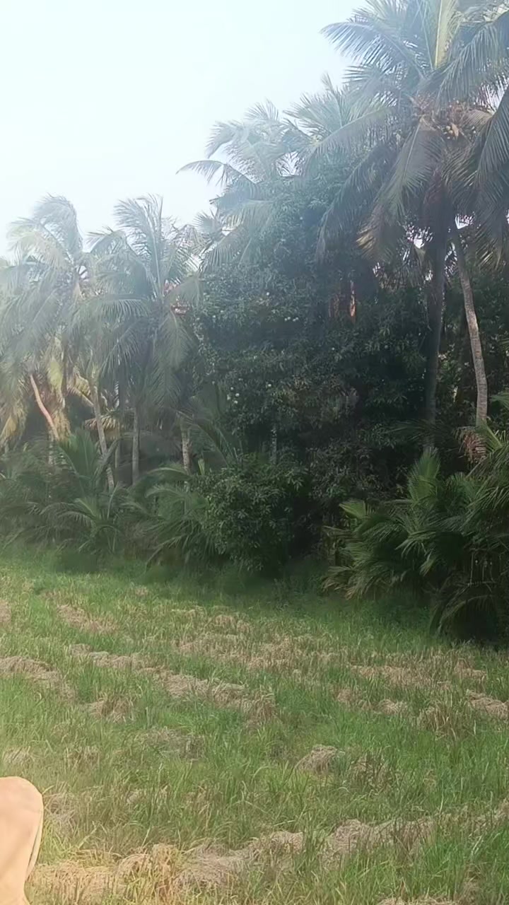 @ఆంధ్ర అమ్మాయి 🫰