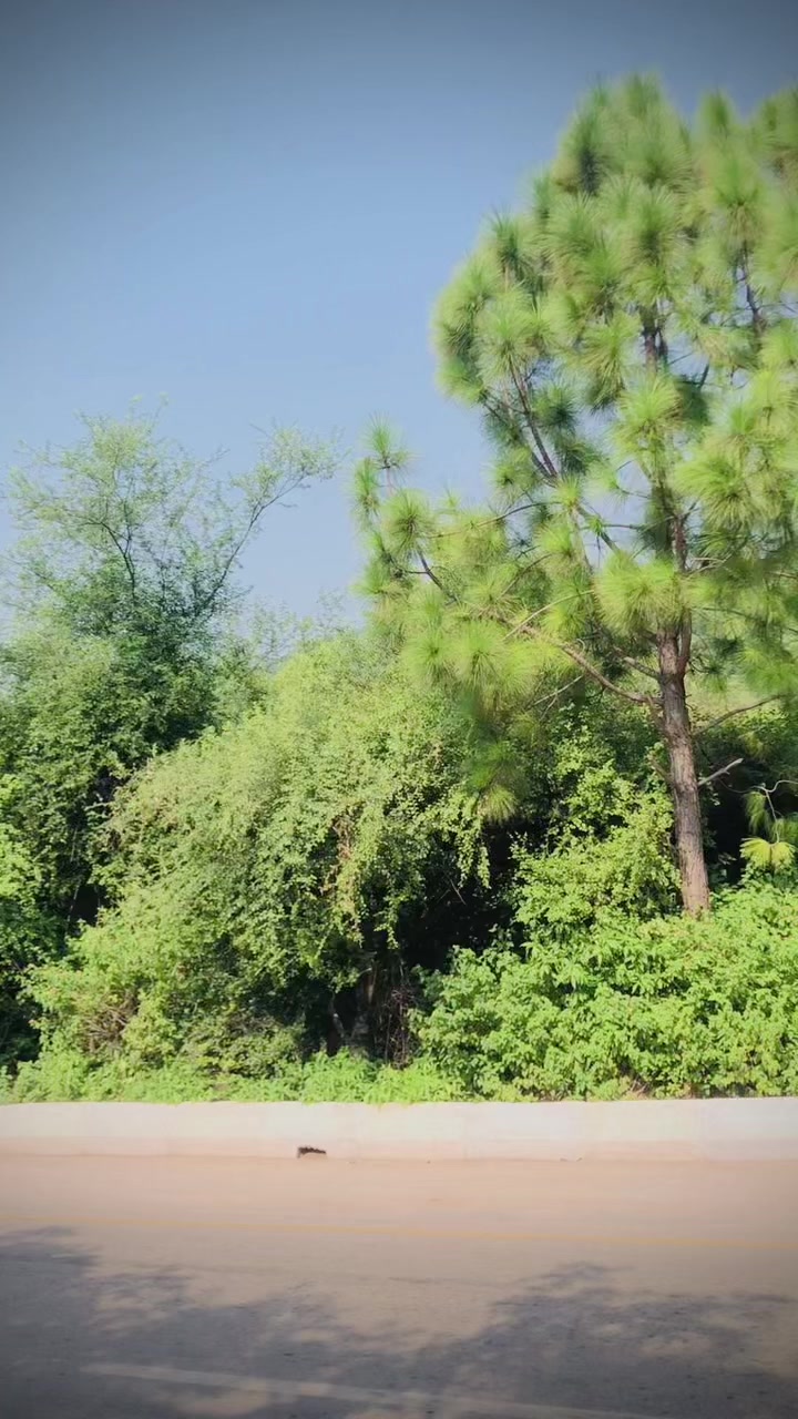 @Pendumalik04