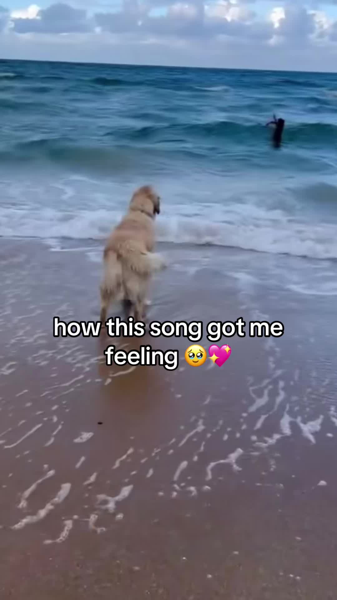 @donsmokeyy