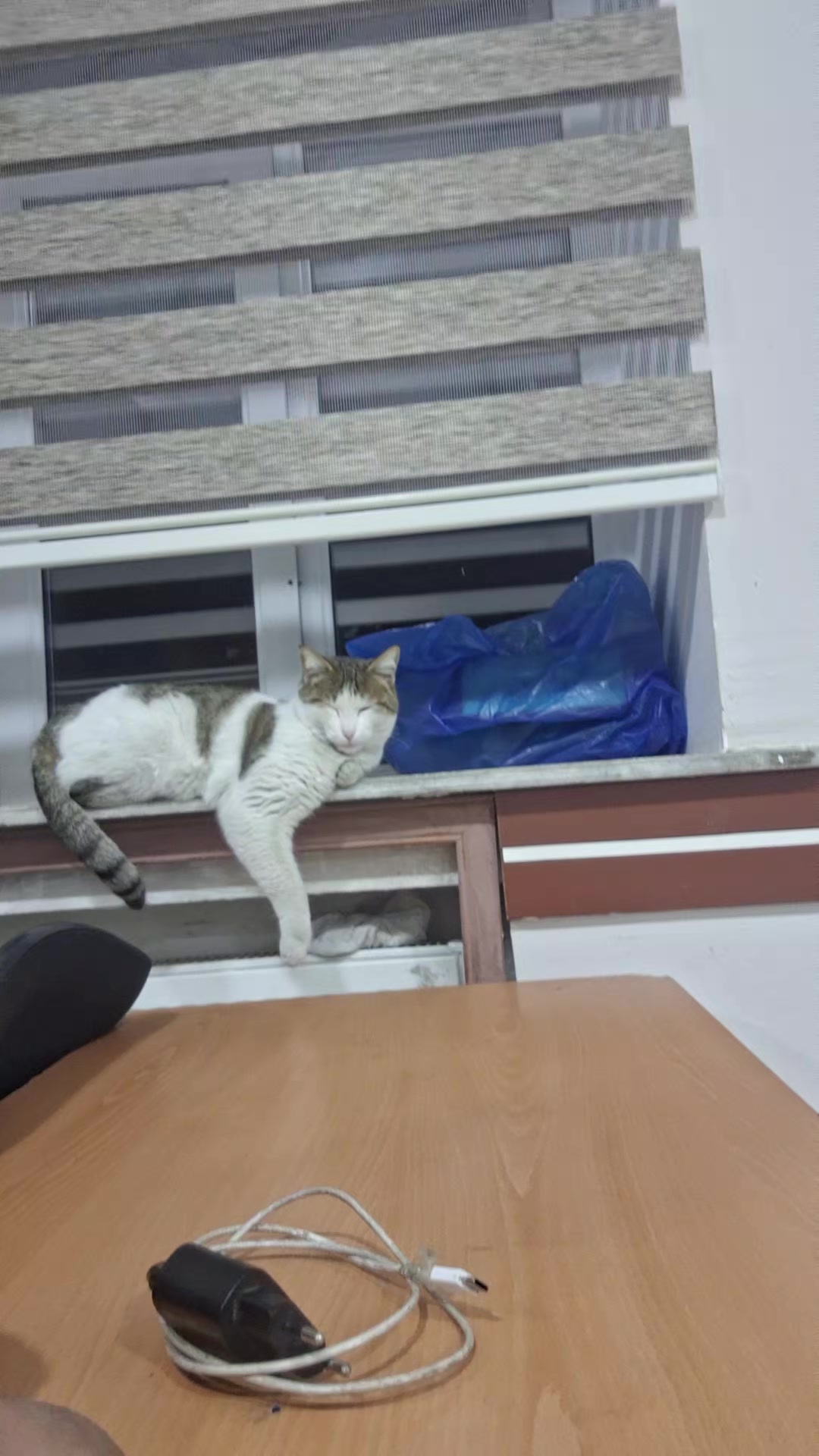 @Paşayev.İ