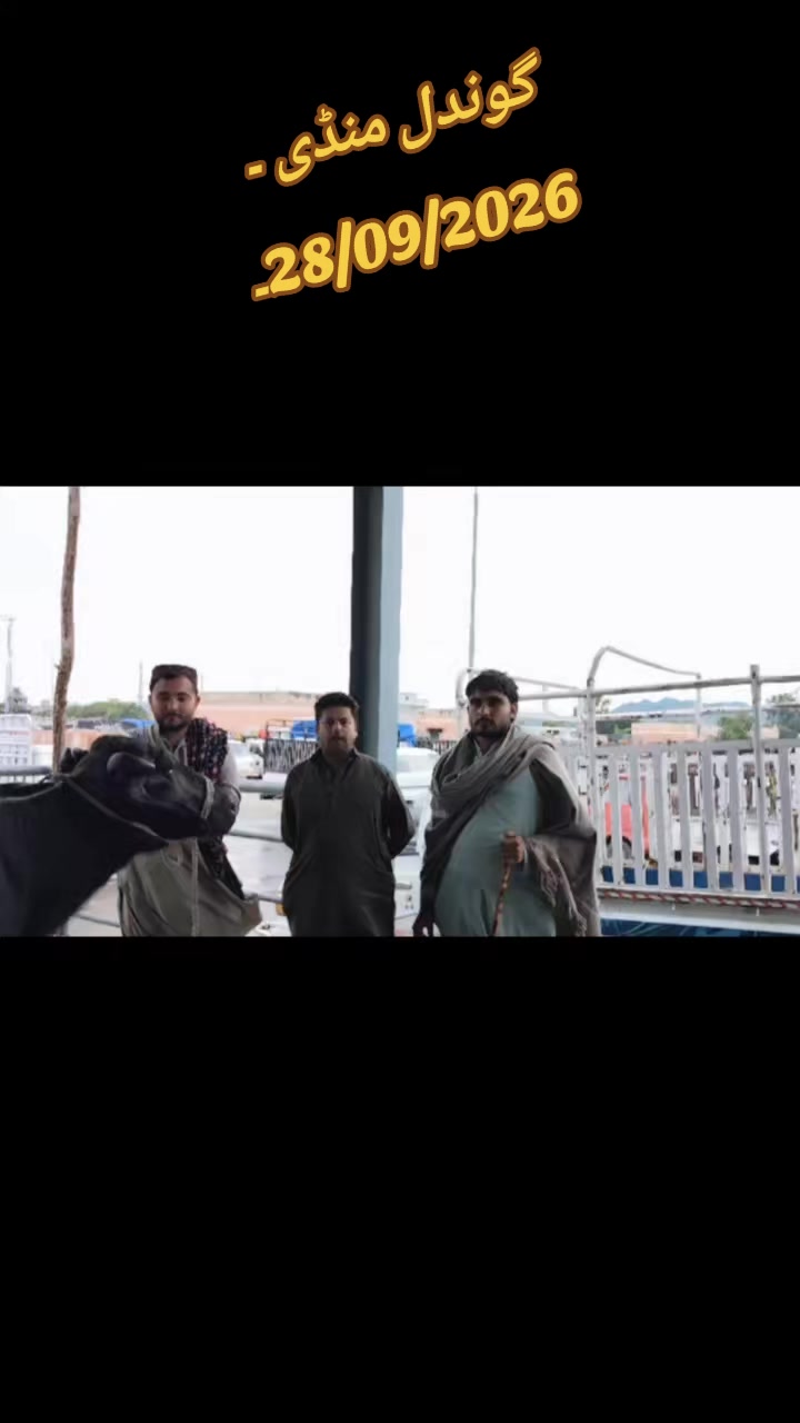 @💖🐄یوسف خان گوندل الہ 💖🐄