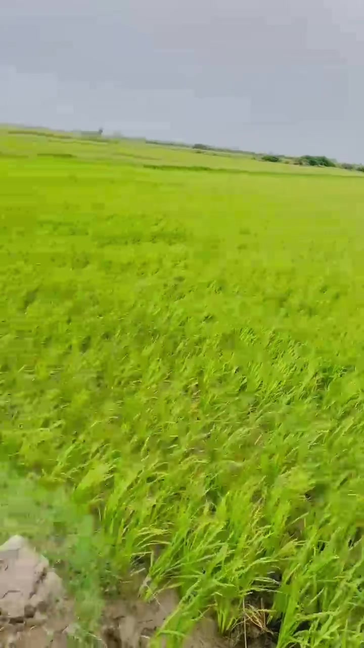 @𝗛𝗔𝗠𝗔𝗗_𝗞𝗔𝗟𝗠𝗔𝗧𝗶 🇩🇯