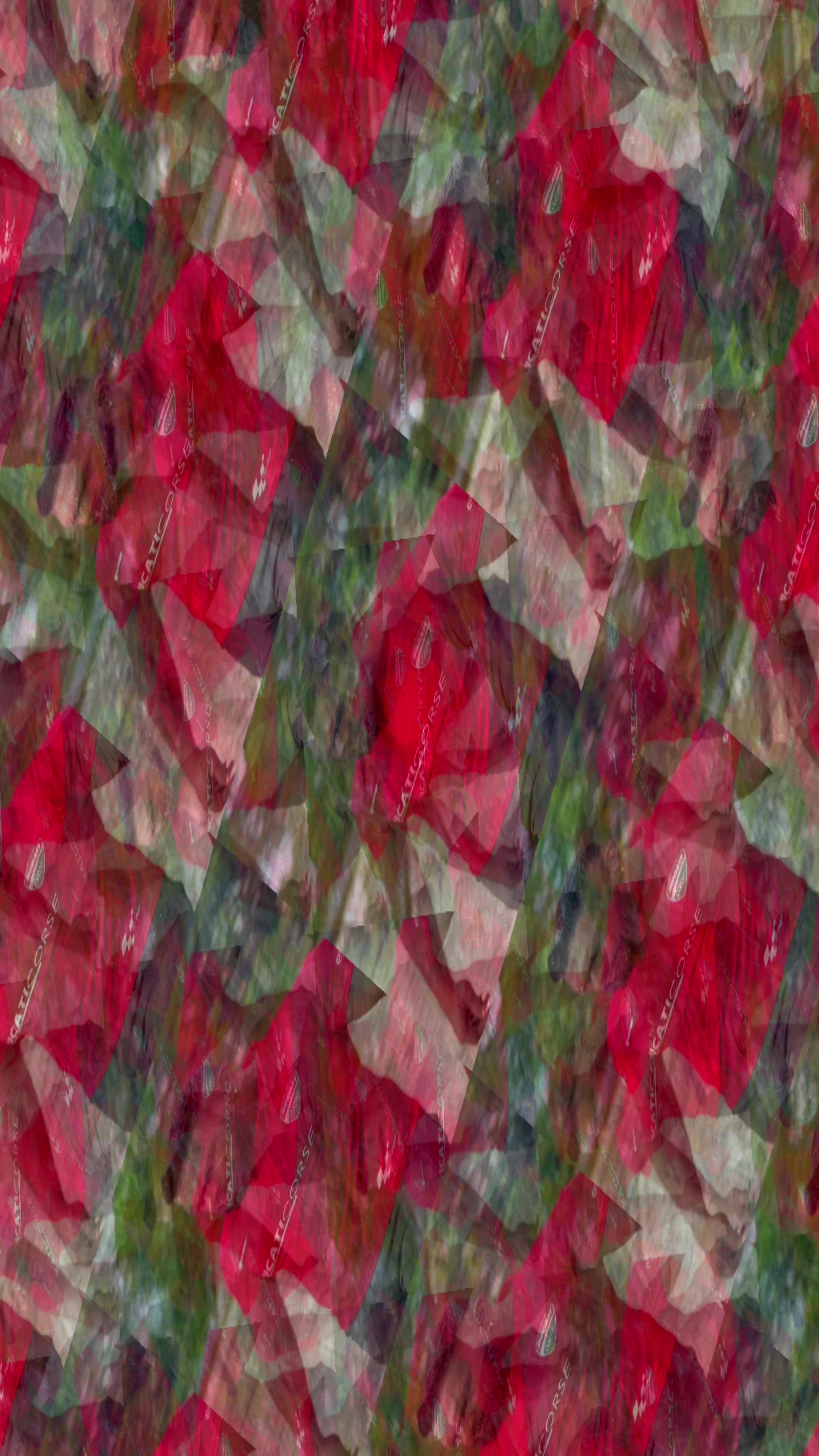 @𝐌𝐮𝐧𝐢𝐳